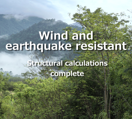 Wind and earthquake resistant
